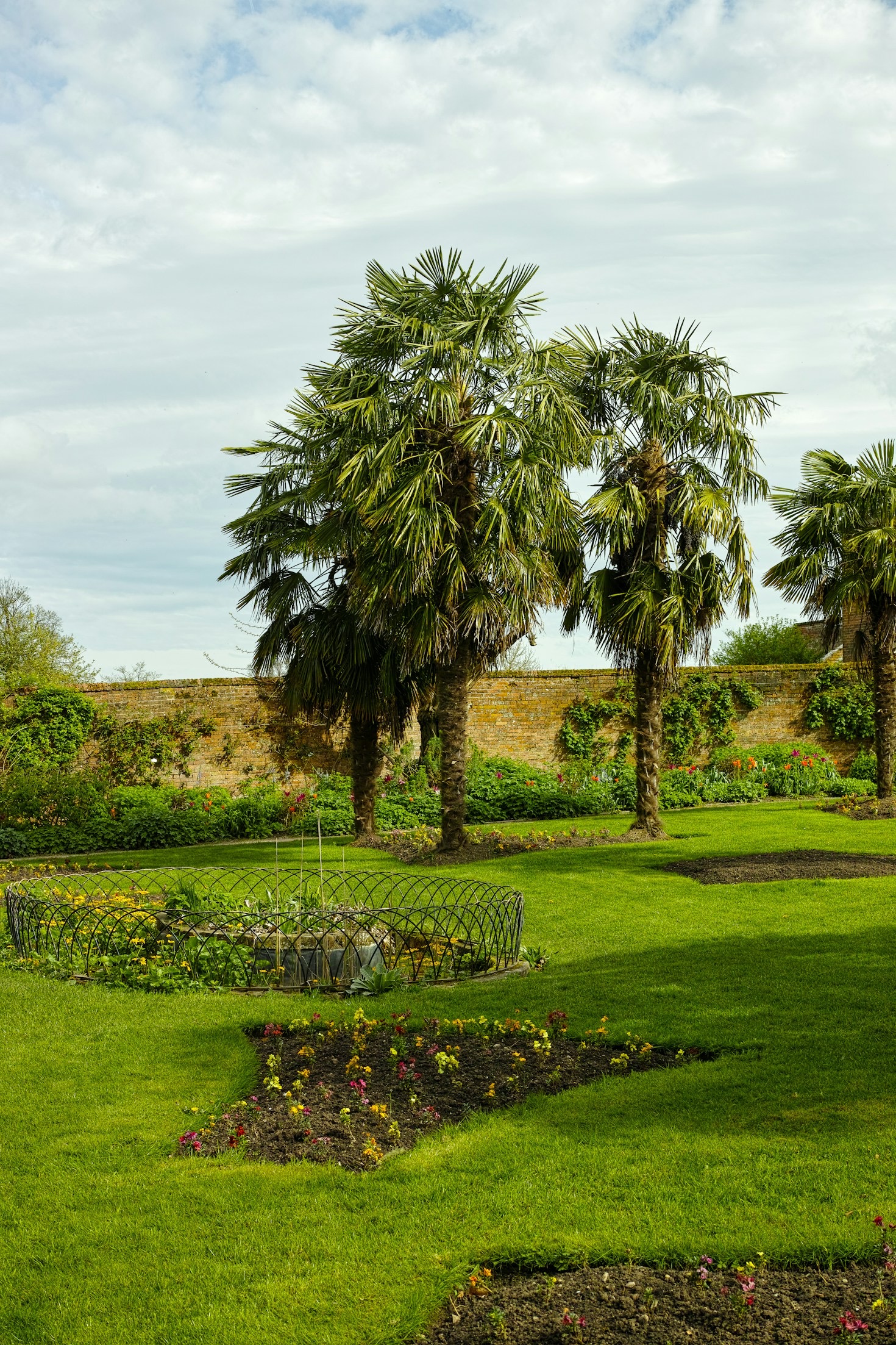 Actividades imperdibles en Matalascañas y Doñana